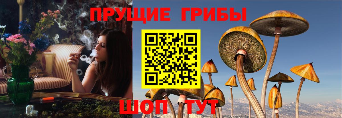 Миасс  Галлюциногенные грибы Psilocybine cubensis  Вход с VPN  Галлюциногенные грибы Cubensis 